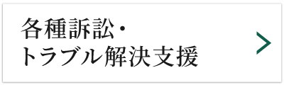 各種訴訟・トラブル解決支援